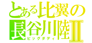 とある比翼の長谷川陸人Ⅱ（ビッグダディ）