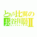 とある比翼の長谷川陸人Ⅱ（ビッグダディ）