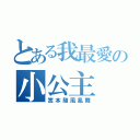 とある我最愛の小公主（嵩本駿風亂舞）