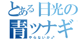 とある日光の青ツナギ（やらないか♂）