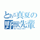 とある真夏の野獣先輩（だいうんどうかい）