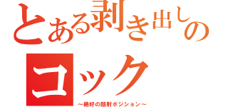 とある剥き出しのコック（～絶好の顔射ポジション～）