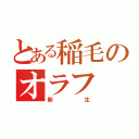 とある稲毛のオラフ（新生）