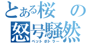 とある桜の怒号騒然（ペットボトラー）