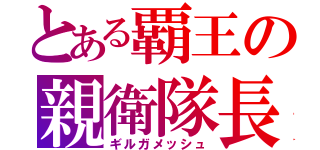 とある覇王の親衛隊長（ギルガメッシュ）