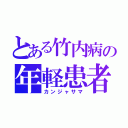 とある竹内病の年軽患者（カンジャサマ）