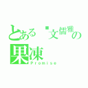 とある溫文儒雅の果凍（Ｐｒｏｍｉｓｅ）