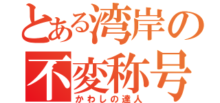 とある湾岸の不変称号（かわしの達人）