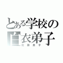 とある学校の白衣弟子（佐藤良子）