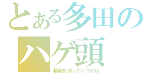 とある多田のハゲ頭（希望を持っていつかは）