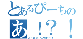 とあるぴーちのあ！？！？（凸（゜Д゜＃）ヤンノカゴルァ！！）