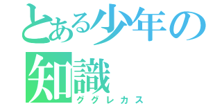 とある少年の知識（ググレカス）