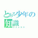 とある少年の知識（ググレカス）