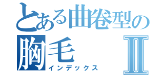 とある曲卷型の胸毛Ⅱ（インデックス）