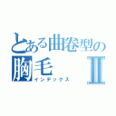 とある曲卷型の胸毛Ⅱ（インデックス）