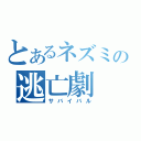 とあるネズミの逃亡劇（サバイバル）