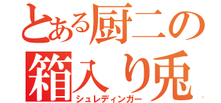 とある厨二の箱入り兎（シュレディンガー）