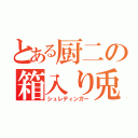 とある厨二の箱入り兎（シュレディンガー）