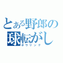 とある野郎の球転がし（ボウリング）