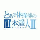 とある体操部の山本遥人Ⅱ（サエンボウ）