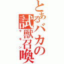 とあるバカの試獣召喚（サモン）