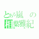 とある嵐の相葉雅紀（動物）