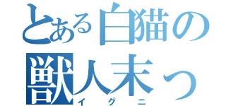 とある白猫の獣人末っ子（イグニ）