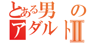 とある男のアダルト目録Ⅱ（）