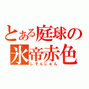 とある庭球の氷帝赤色（しそんじゅん）