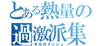 とある熱量の過激派集団（ギルガメッシュ）