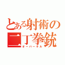 とある射術の二丁拳銃（オーバーキル）