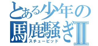 とある少年の馬鹿騒ぎⅡ（スチューピッド）