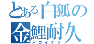 とある白狐の金鯉耐久（アカイナァ）