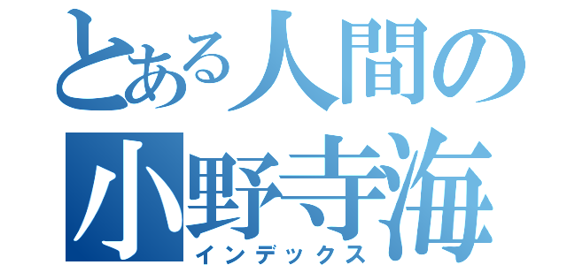 とある人間の小野寺海斗（インデックス）