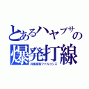 とあるハヤブサの爆発打線（兵庫高取ファルコンズ）