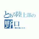 とある陸上部の野口（一瞬の風になれ）