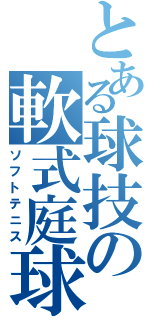 とある球技の軟式庭球（ソフトテニス）