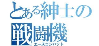 とある紳士の戦闘機（エースコンバット）