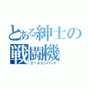 とある紳士の戦闘機（エースコンバット）