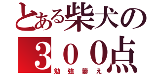 とある柴犬の３００点（勉強萎え）