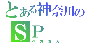 とある神奈川のＳＰ（ペガさん）