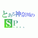 とある神奈川のＳＰ（ペガさん）