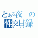 とある夜の性交目録（セックス）