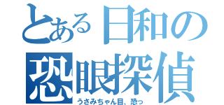 とある日和の恐眼探偵（うさみちゃん目、恐っ）