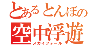 とあるとんぼの空中浮遊（スカイフォール）