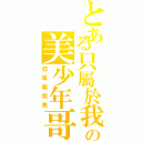 とある只屬於我の美少年哥哥（亞風爐照美）