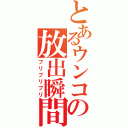 とあるウンコの放出瞬間（ブリブリブリ）