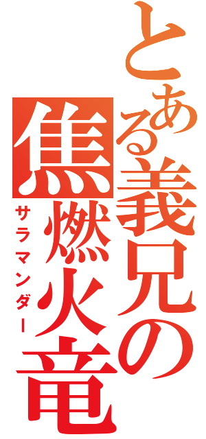 とある義兄の焦燃火竜（サラマンダー）