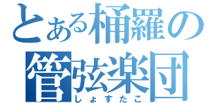 とある桶羅の管弦楽団（しょすたこ）