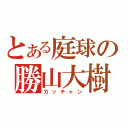 とある庭球の勝山大樹（カッチャン）